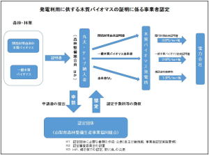 バイオマス認証手順図